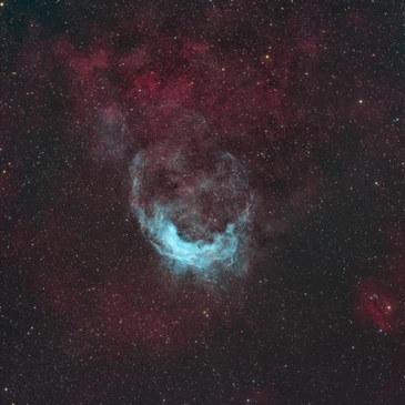 NGC 3503