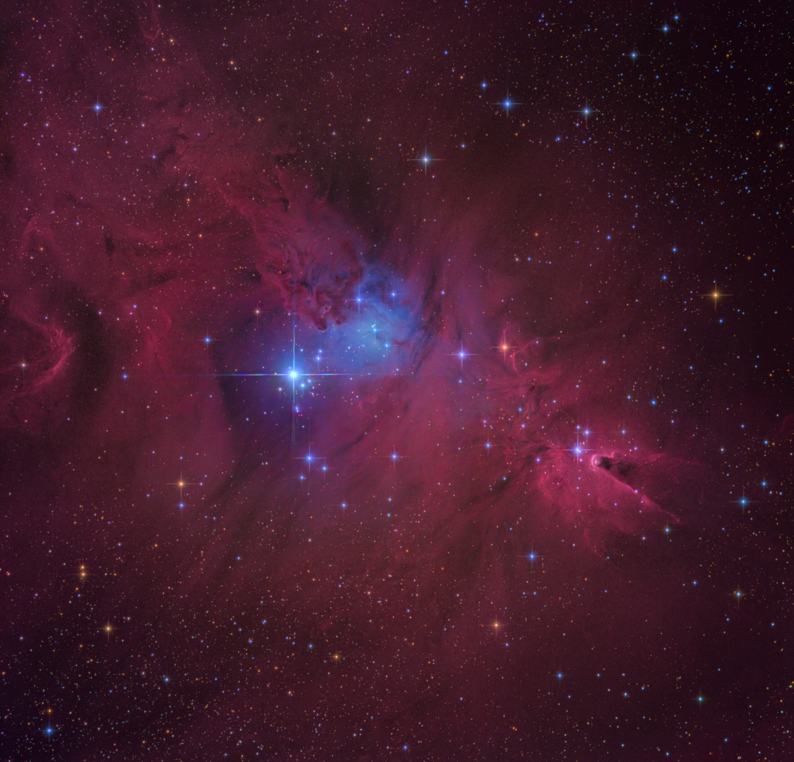 NGC 2264: The Cone Nebula and the Christmas Tree Cluster