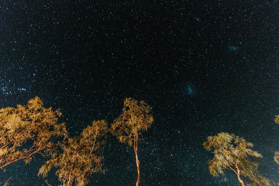 Understanding Light Pollution and Its Effects