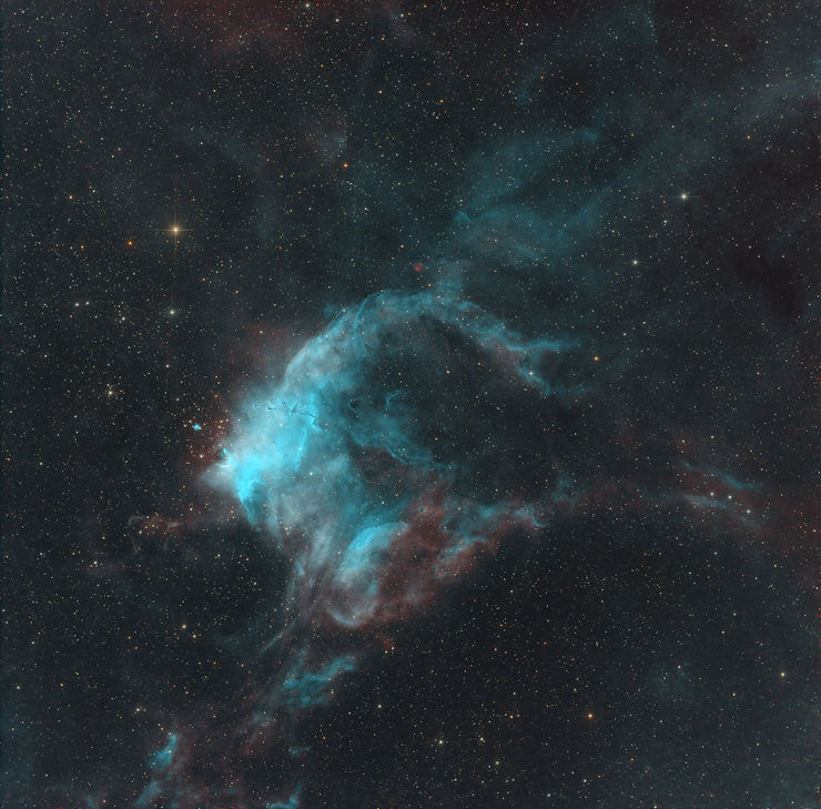 The Southern Tadpoles Nebula: A Stellar Nursery in Carina