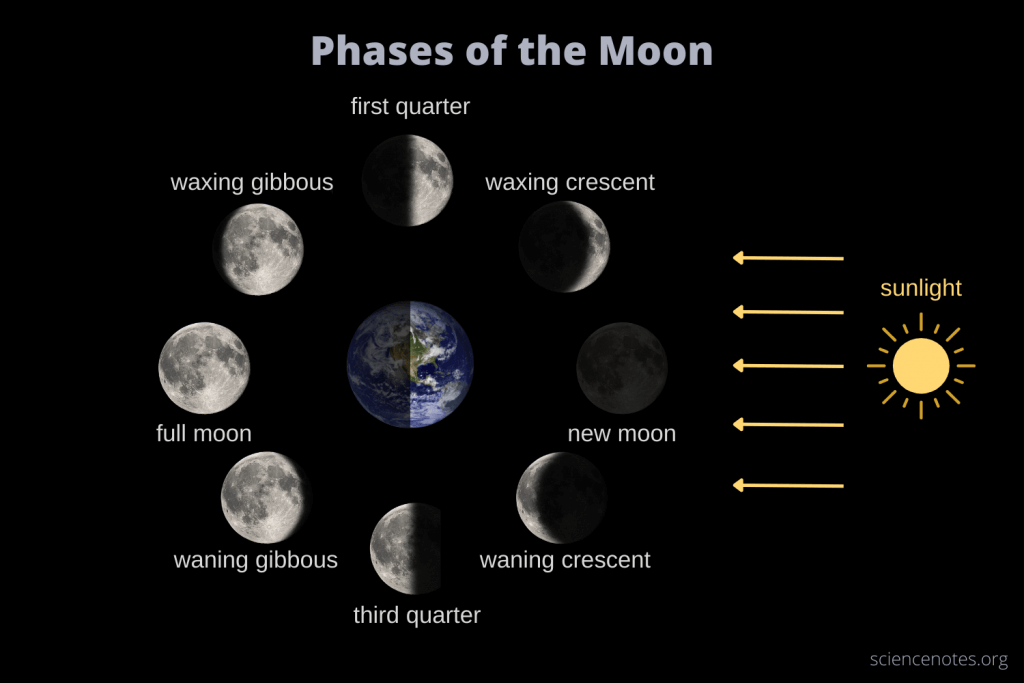 Phases of the Moon